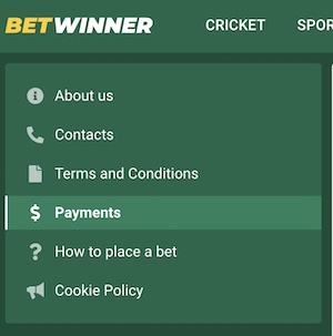 betwinner payment options