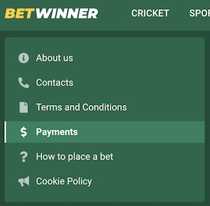 betwinner payment methods